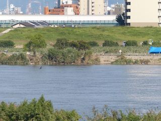 2013092306.jpg